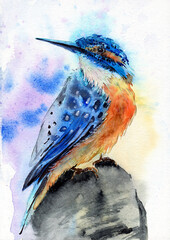 Watercolor illustration of a small turquoise and yellow kingfisher with colorful feathers sitting on a stone against a pink and blue background