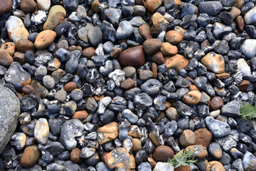 Pebbles Baltic coast