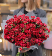 Woman with bunch of red spray roses. Young woman holding a big bouquet of red bunch roses in Women's day. Fresh spray roses flowers.