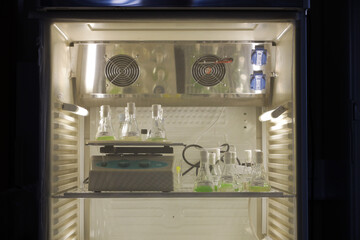 Shot of seedlings on a freezer in a laboratory