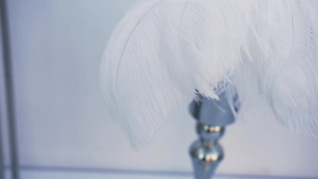 A white feather in a silver vase adorns the photo area and sways in the wind. Element of decor. Light air feather made of soft soft down.