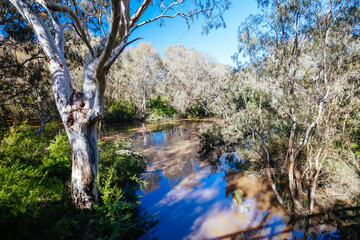 Yarra Trails in Melbourne Australia