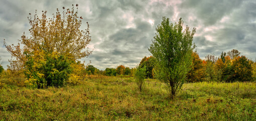 Herbst im Berliner Naturschutzgebiet 