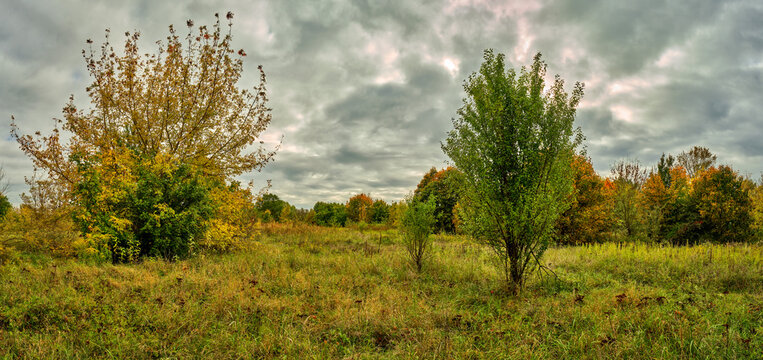 Herbst im Berliner Naturschutzgebiet "Biesenhorster Sand" - Panorama aus 10 Einzelbildern