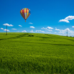 a ballon is flying over a green corn field in may and the blue sky is almost cloudless