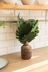 Artificial monstera leaves on a vase in scandinavian kitchen style background