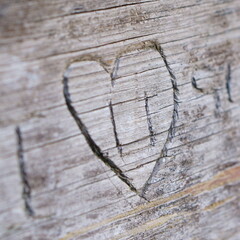 Cœur gravé sur bois