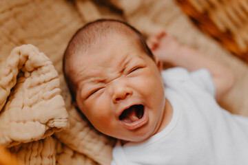 portrait of a cute newborn baby who just woke up, bubbling and stretching - obrazy, fototapety, plakaty