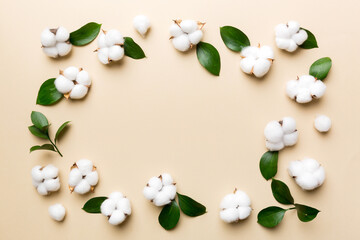 Autumn Floral Flat lay background composition. Dried white fluffy cotton flower branchwith green leaf top view on colored table with copy space