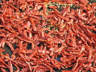 Dried red chili peppers