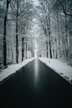 Winter Street