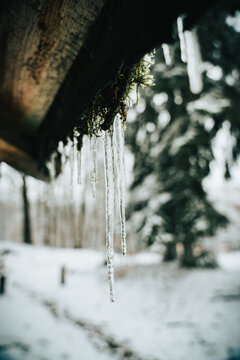 Ice Drops