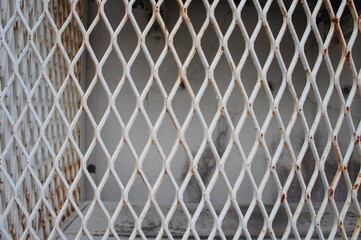 Fototapeta premium フェンス