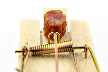 A macro photo of a piece of kabanosa meat lying on a pawl in a mousetrap, isolated on a white...