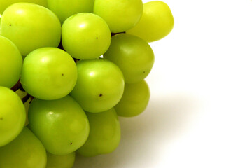 美味しい高級葡萄　シャインマスカット　白背景　コピースペースあり