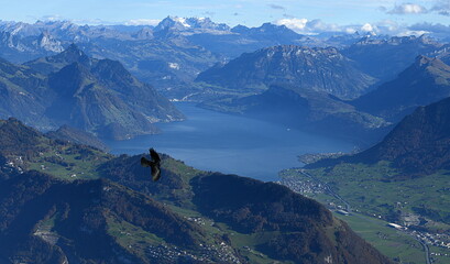 suisse centrale