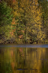 Fototapeta premium Autumn in the park