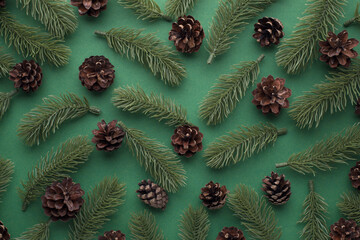 Top view photo of pine twigs and pine cones on isolated green background