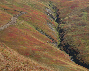 Autumn colours on mountain side with path and creek