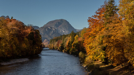 autumn view