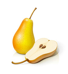 Pear. Ripe, juicy fruit, Isolated on white background. Eps10 vector illustration.