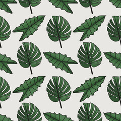 Fototapeta premium Monstera and alocasia leaves with outline seamless pattern on white background.