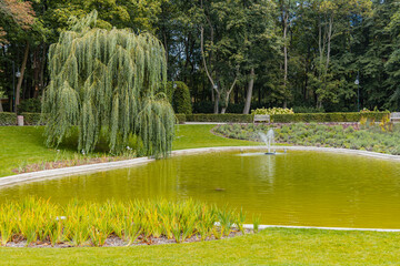 Small square with small pond and small hedge in park