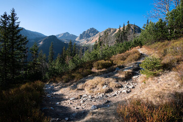 Fototapeta na wymiar Mountain trail under high mountains. 