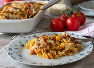 Pasta casserole with bolognese, bechamel sauce and mozzarella on a plate