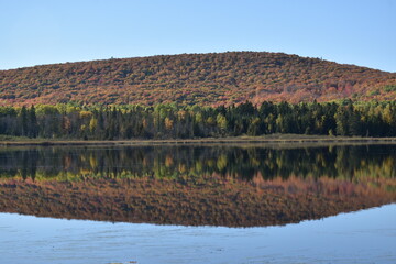 A mixed forest in autumn, Lac Frontière, Québec, Canada