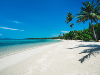 Fototapeta na wymiar Scenic view of white sand beach tropical island with turquoise water and coconut palm tree. Koh Mak Island, Trat, Thailand.