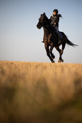 Female horse rider riding outdoors on her lovely horse