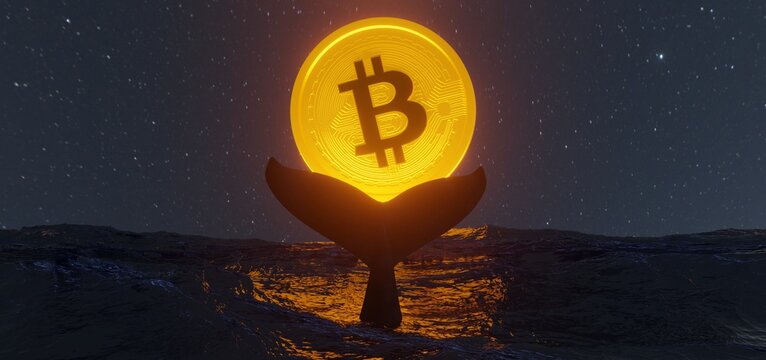 Bitcoin whale , whale tail in ocean and bitcoin . bitcoin is the moon . Whale is large investor in the BTC market .3D Rendering.