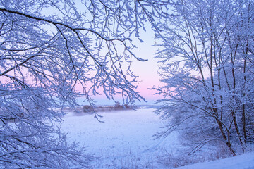 Fototapeta premium Morning light with frost and snow in a rural landscape