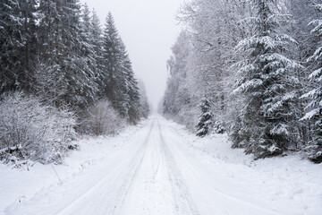Long straight road in a forest with snow
