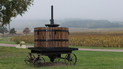 Ancient wine press in foggy vineyard