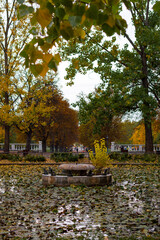 Beautiful water fountain in colorful autumn time covered with leaves