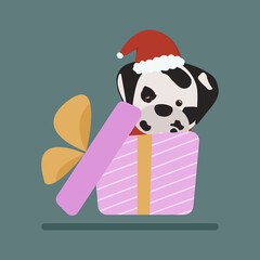 Pink gift box with dalmatian dog inside