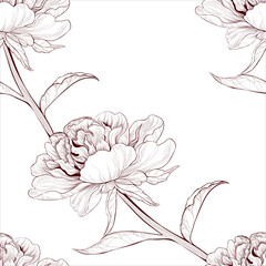 Vector drawing. Peony - flowers, buds and leaves on a white background. Seamless pattern. Graphics. Use printed materials, signboards, posters, postcards, packaging.