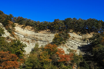 秩父のようばけ