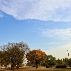 Banpo Hangang Park in seoul