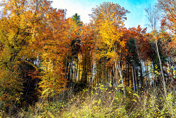Herbst 2021