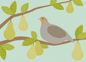 Textured partridge in a pear tree, in a cut paper style
 - obrazy, fototapety, plakaty