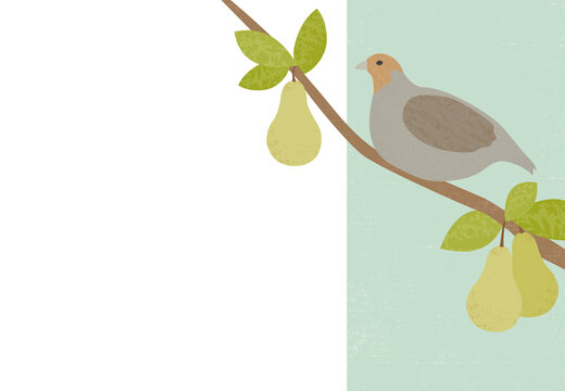 Textured partridge in a pear tree, in a cut paper style

