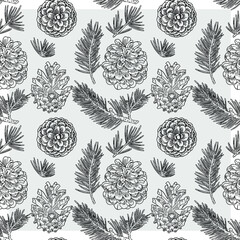 Fototapeta premium A pattern of Cones and fir branches drawn with a black line. The form is transparent. You can change the color of the pattern and background.