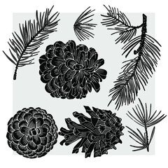 Spruce cones and branches are drawn with a black line. The form is transparent on a gray background. Suitable for Christmas patterns, cards and packaging. 