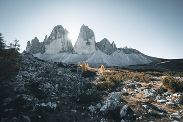 Panoramic view of Tre Cime di Lavaredo or Drei Zinnen at sunset in the Dolomites in Italy, Europe