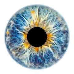 Foto op Aluminium Blue eye iris pupil vector illustration isolated © KewadaArt