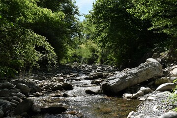 Panorama of the Tassonaro stream in the woods of Argigliano in Lunigiana, reflections and long exposure times