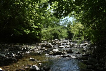 Panorama of the Tassonaro stream in the woods of Argigliano in Lunigiana, reflections and long...
